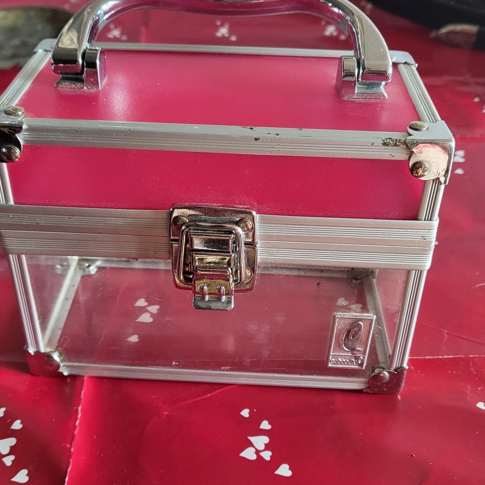 Pink and Clear Makeup Case